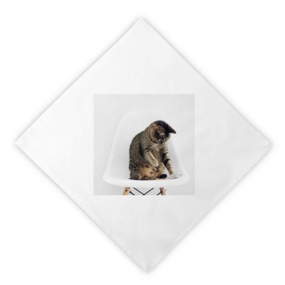 Serviettes en tissu réutilisable chat drôle 18.5x18.5 pouces lot de 2 pièces multicolor