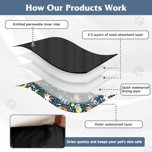 Image of 3 Pack Dog Diapers Male Reusable, High Absorbing Washable Dog Wraps, Male Dog Belly Band for Dogs with Incontinence or Frequent Urination(Large, Fox)