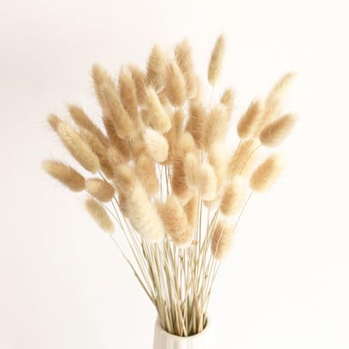 Decoración de Pasto Pampas Seco, 100 Unidades 45 cm miniatura 1