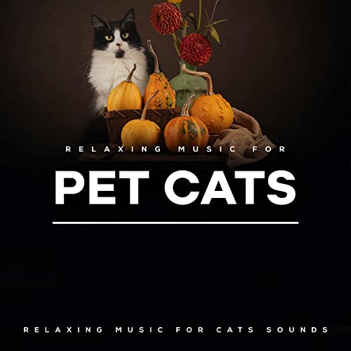 View of Amazon.com: Relaxing Music for Pet Cats : Relaxing Music for Cats ...