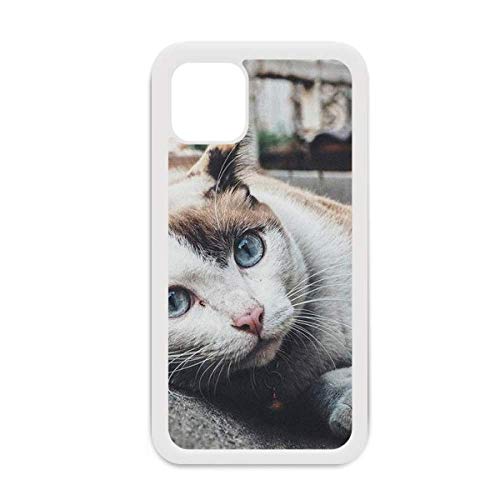 Coque iPhone 12 Pro Max chat coloré blanc pour éviter les rayures avec un design artistique