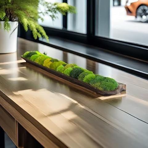 prefleur Only Moss No Bowl 4 Color Mix Pack Preserved Pole Moss Florist Decor Easter Table Decor Wedding(1.5 sq.ft, Green-A,Green-B,Green-C,Green-D,5 Fern) Cover