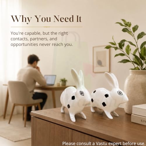 Image of Brass Rabbit Pair Statue | Weight - 490 G Approx | Vastu Shastra | Home Decor Statue | Vastu Remedy | Wealth and Prosperity | Material- Brass | Black and White Painted |