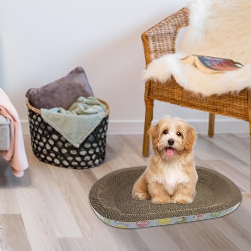 Salão para arranhar gatos,Cama oval para arranhar gatos 2 em 1 - Cama de gato espessada, brinquedos