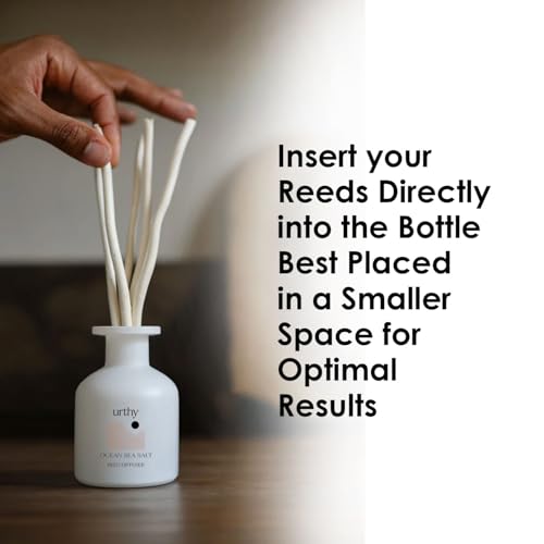 Ambientador de varitas Reed Diffuser, aroma Ocean Sea Salt miniatura 6