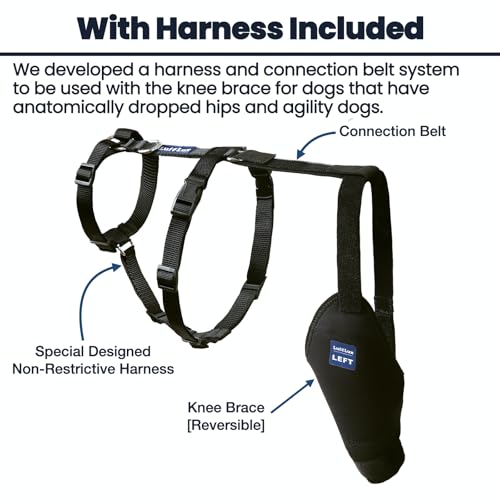 Image of Dog Knee Brace with Harness and Connection Belt, Lightweight and Stretchable, Support for Torn ACL Hind Leg, Luxating Patella, Reduces Arthritis Pain and Inflammation (XXX-Small)