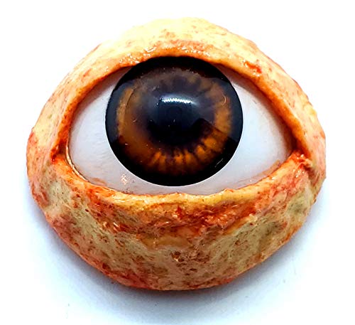 Realistic Life Size Acrylic Eye Dot for Halloween Props, Masks, Dolls, Crafts, Jewelry 1.25
