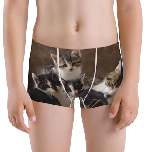 Boys' Cotton Boxer Brief Soft Underwear-Cat Family