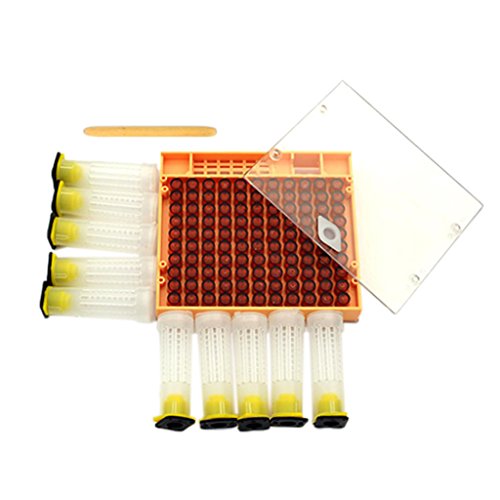 perfk Complete Breeding System Queen Cupkin Bee Cup System