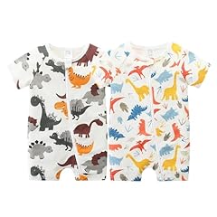 Cartoon Dino+colorful Dino