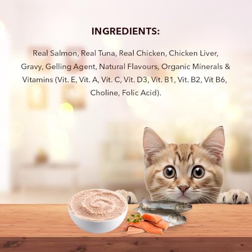 Image of Meat Up Adult Wet Cat Food 16 Pouches x 50g, Total 800g | Real Salmon Fish in Gravy | Supports Heart & Vision Health | Strong Bones & Teeth | Natural Flavours | Organic Minerals & Vitamins