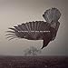 The Fall Of Hearts ( 2 Lp Gatefold Sleeve )