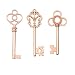 Aokbean Vintage Skeleton keys in Rose Gold Style - Set of 30pcs (Rose Gold)