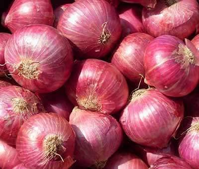 Golden Hills Farm Red Big Onion Vegetable Seeds 300 seeds (B093QFR7M1) Amazon Price History, Amazon Price Tracker
