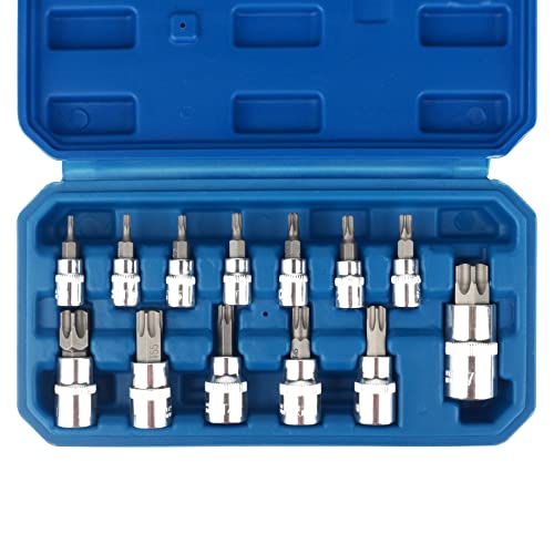 DAYUAN Juego de llaves de vaso Torx de 13 piezas de 3/8 pulgadas Dr. T8 - T70 E Star Premium S2 de acero de aleación Cr-V de acero estrella Torx brocas métricas de 1/4, 3/8 y 1/2 pulgadas
