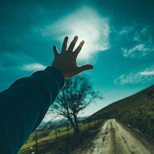 Couverture de The Endeavor For Truth