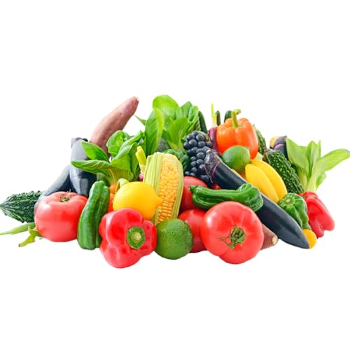 新富町 特産 野菜 詰め合わせ 定期便 12か月コース 旬 やさい 国産 ≪2026年1月配送開始≫