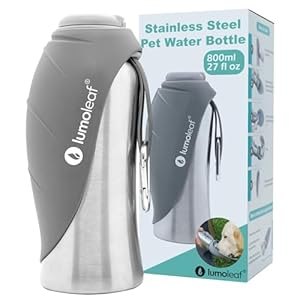 LumoLeaf Portable Dog Water Bottle 27 OZ, Stainless Steel Pet Travel Water Bottle Dispenser for Walking, Hiking and Outdoor, Portable Water Bowl for Large Dogs (Grey)