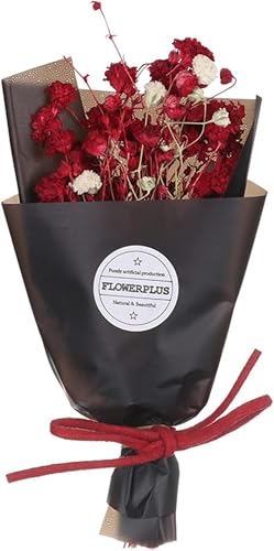 Flor seca natural para decoración y fotografía miniatura 4