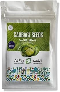 Al Fajr Kabocha Seeds