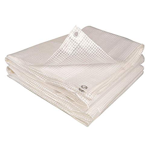 TERRE JARDIN Bâche armée Transparente 160g/m2 découpable 4 x 6