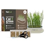 SOIL FREE: This hydroponic seed revolutionizes the way we grow plants, by eliminating the need for fertile soil. Its innovative system uses a precise combination of nutrients and water, allowing optimal and sustainable growth without requiring soil. ...