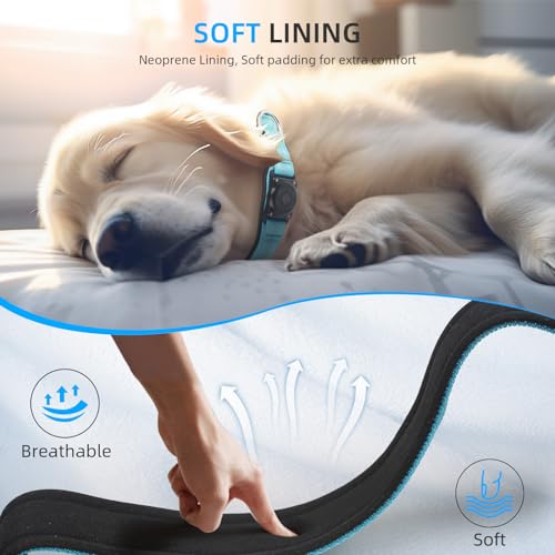 Image of Upgrade Dog Collar with AirTag Holder, IP68 Waterproof, Blue, XL