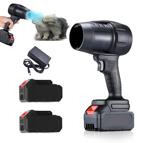 WRQIOO Cordless Battery Leaf Blower with 2 x 21V Batteries