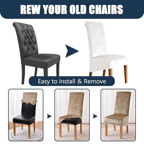 Housses de chaise de salle à manger à dossier haut velours extensible 4PC