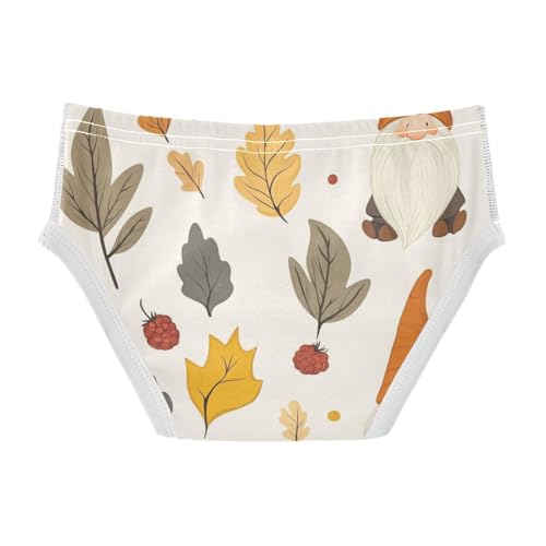 KLL Autumn Gnomes Yellow Leaves Berries Vintage Boys Toddler Comfort Briefs Underwear Cute Undies2
