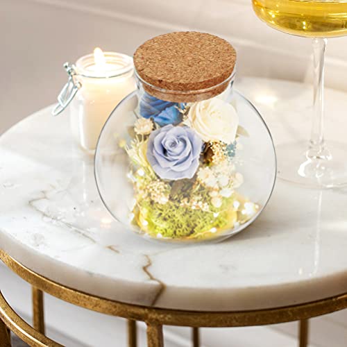 GANAZONO Glass Terrarium Jar 4.33 Inch Spherical Ecological Bottle with Cork Stopper for Diy Mini Landscape Plant Display and Home Decoration Set of 2 - Image 4