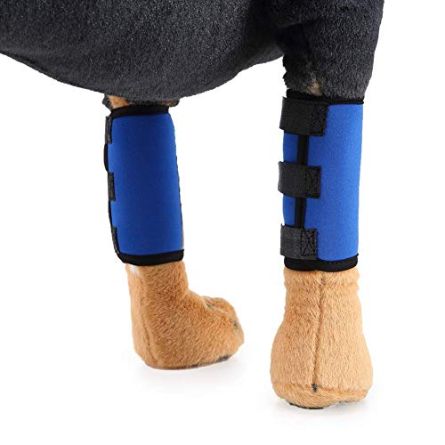 Image of 1 Pair Reflective Tape Elbow Protectors, Dog Front Leg Braces Pet Knee Pads Dog Elbow Protector Help with Injuries Sprains and Loss of Stability Caused by Arthritis(M, Blue)