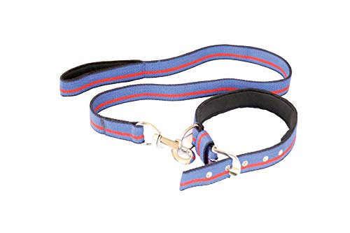Furry Angels Cotton Padded Soft Collar and Matching Leash Set for Large Breed Dogs -(Size - XL), Length - 55 inches (Color - Blue) (B08B3DW76J) Amazon Price History, Amazon Price Tracker