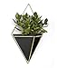 Umbra Trigg Jardinière Suspendue et Décoration Murale Géométrique Pour Petite Plante, Plante Succulente et Bien Plus Encore, Noir/Laiton