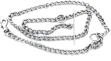 DCM PET Zone Chain Stainless Steel 152 cm for Small and Medium Dogs (All Age)