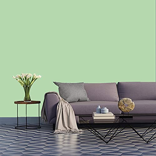 JAAMSO ROYALS Mint Green Plain matt Wallpaper - Self Adhesive, Water Proof, Peel and Stick Sticker (60 CMx 100 CM, Mint Green)