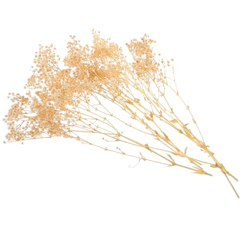 Ramo de flores secas gypsophila blanco para decoración miniatura 1