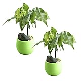 ✔➤ Paket Inhalt: 2-teiliger Blumentopf (ohne Verkaufsbox.)