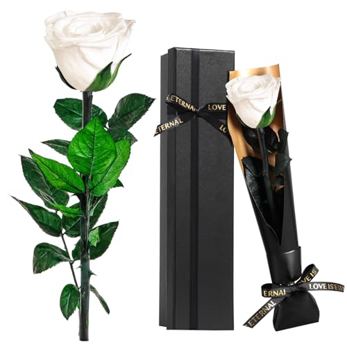 Regali Natale Donna Per Mamma Nonna, Rosa Bianco Stabilizzate Vera Eterna Fiori Rosa Regalo Donna Compleanno Anniversario Per Lei, Regali Fidanzata Moglie Sorella, Festa Della Mamma, San Valentino