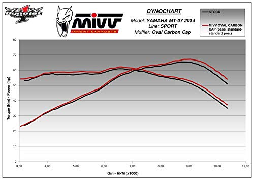 Mivv Y.044.L3C YAMAHA MT-07 2014 ></noscript> KOMPLETTANLAGEN 2X1 OVAL CARBON CARBON CAP - 4