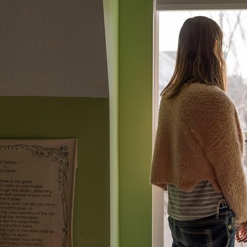 The Americans caught in ICE&rsquo;s web of surveillance