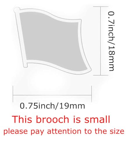 Image of vmcoatdu Country Flag Backs Locking Pin Keepers Locking Clasp Pin Badge International Travel Brooch Metal Alloy Souvenir Pin 0.75x0.7 Inch Small Pin