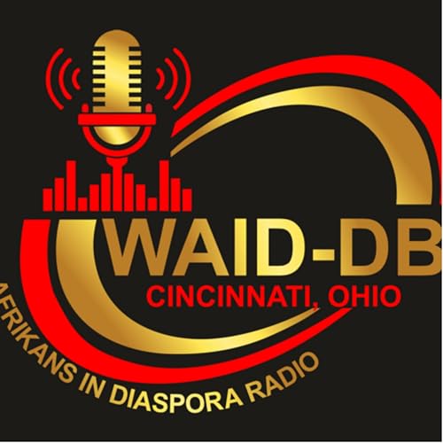 African in the Diaspora cover art