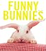Funny Bunnies