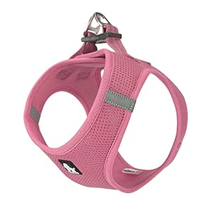 TRUE LOVE Harnais pour Chien Soft Air Mesh Gilet réfléchissant réglable pour Animaux de Compagnie pour Petites et Moyennes Races (S, Rose)