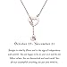 ENSIANTH Rose Gold Zodiac Signs Heart Necklace Stainless Steel Lariat Y Necklace Best Birthday Gift (Scorpio)