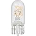 SYLVANIA 2825 Basic Miniature Bulb, (Contains 2 Bulbs)