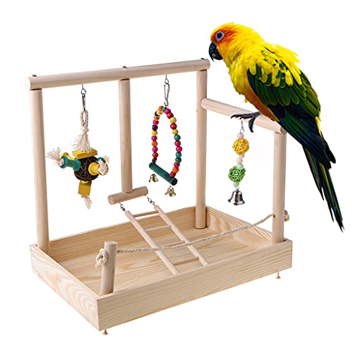 Jouets pour perroquets et perchoir à oiseaux échelle pour conure