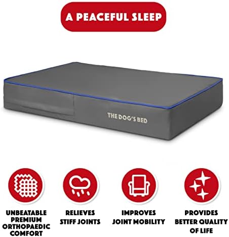 The Dogs Bed Orthopaedic Dog Bed Large Grey with Dark Blue Trim 101x64cm, Waterproof Memory Foam Dog Bed
