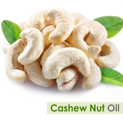 Image of Crysalis Cashew Nut Oil - 15 ml, Pure & Natural Undiluted Carrier Oil For Skin & Haircare